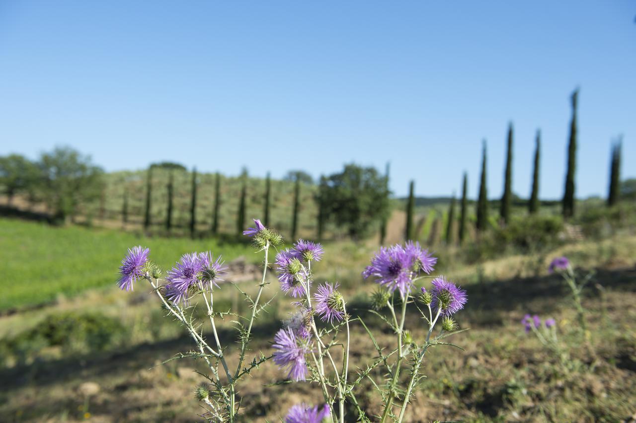 Agriturismo Poggio Corbello La Pesta Eksteriør bilde