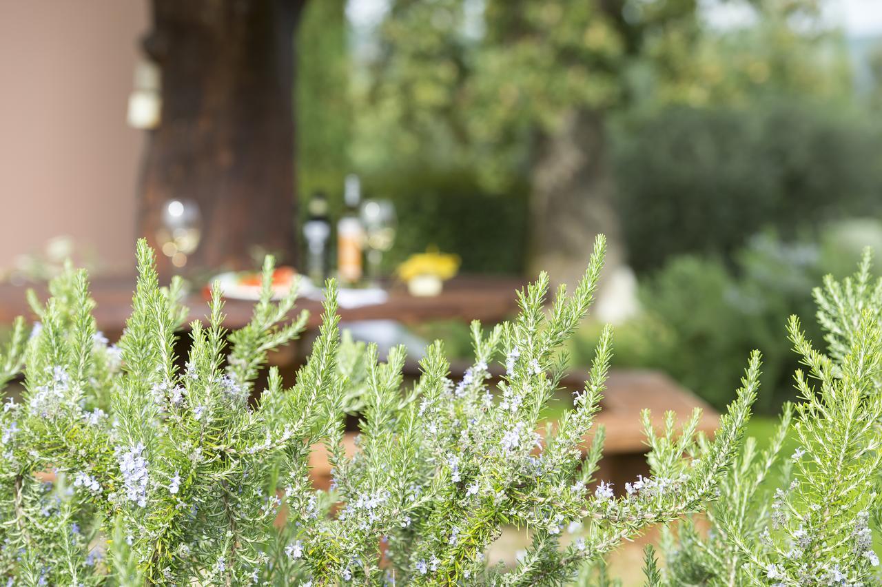 Agriturismo Poggio Corbello La Pesta Eksteriør bilde
