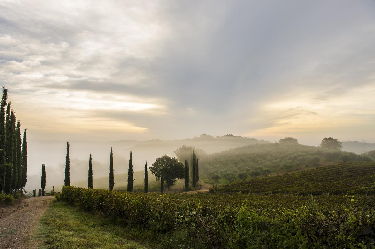 Agriturismo Poggio Corbello La Pesta Eksteriør bilde
