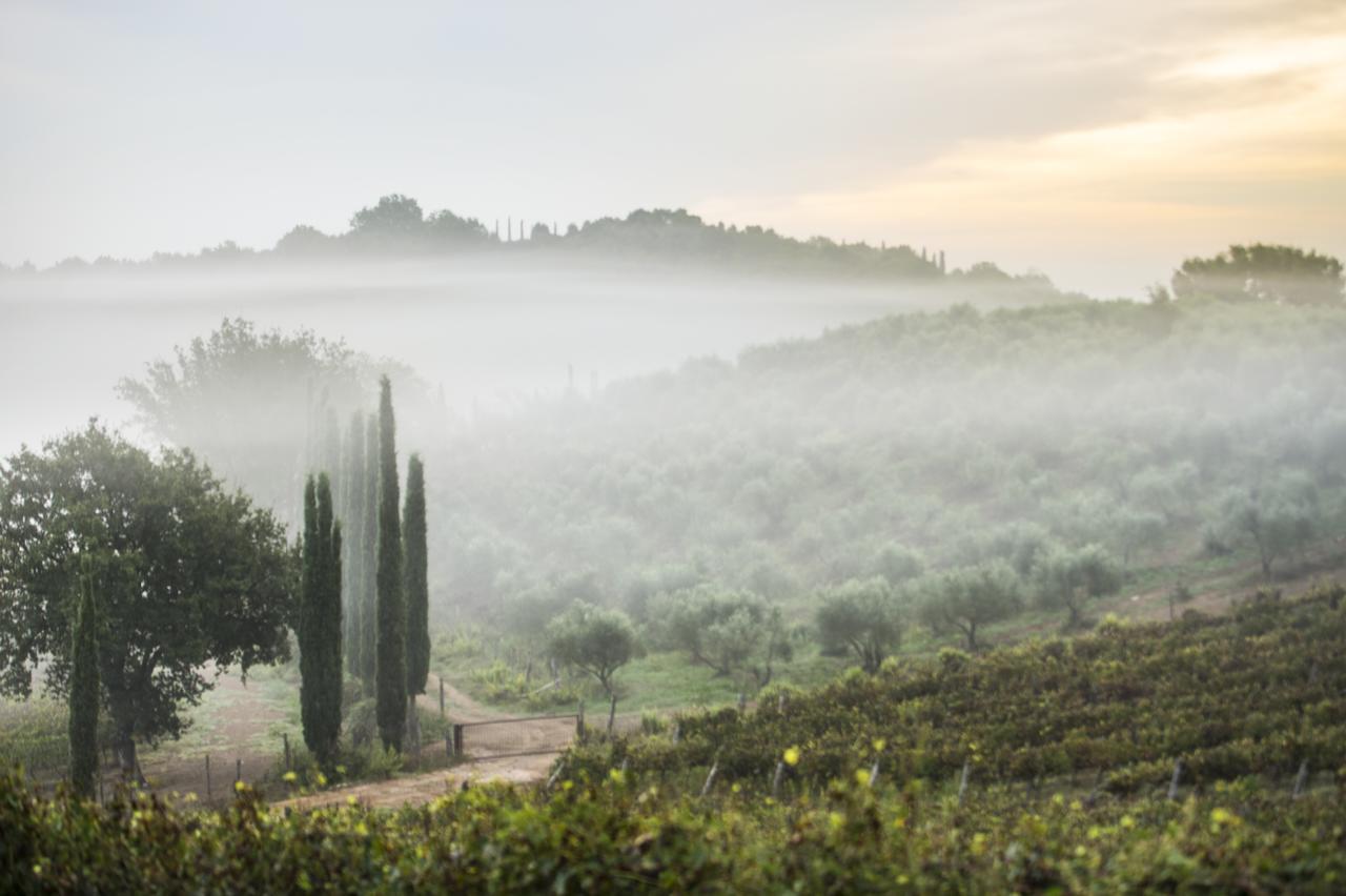 Agriturismo Poggio Corbello La Pesta Eksteriør bilde