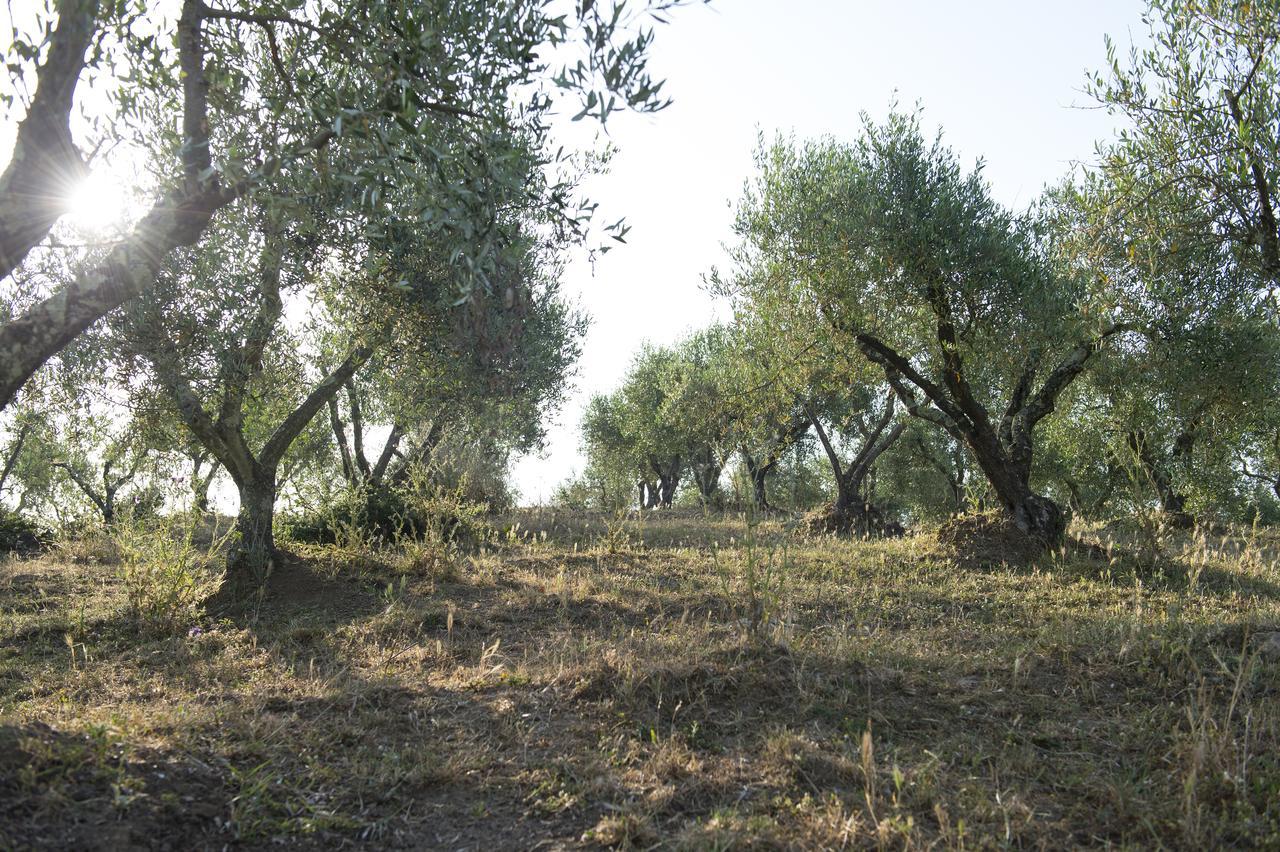 Agriturismo Poggio Corbello La Pesta Eksteriør bilde
