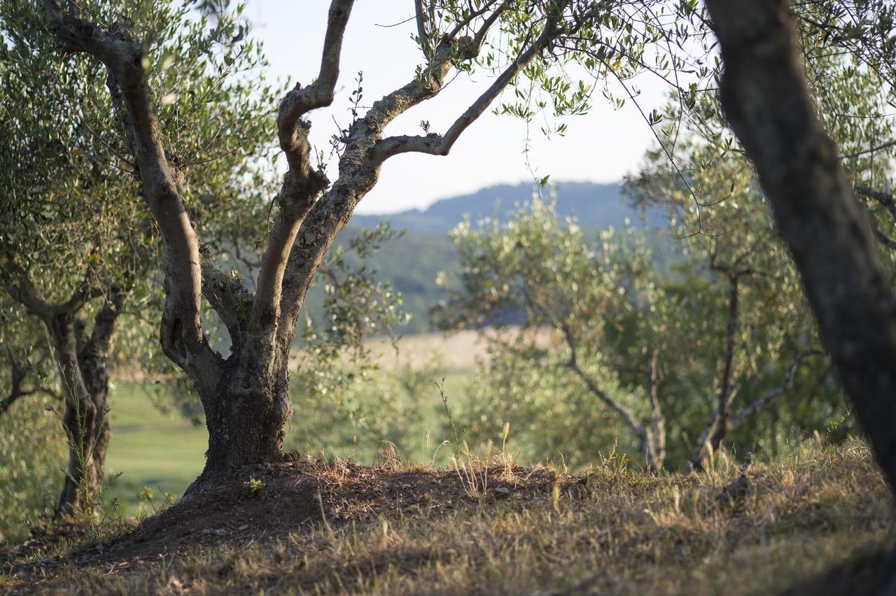Agriturismo Poggio Corbello La Pesta Eksteriør bilde
