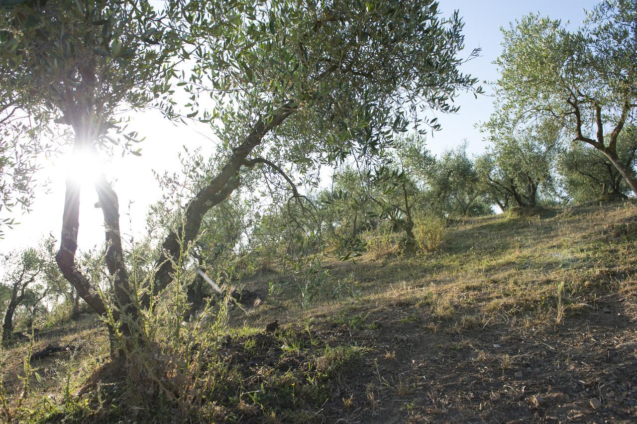 Agriturismo Poggio Corbello La Pesta Eksteriør bilde