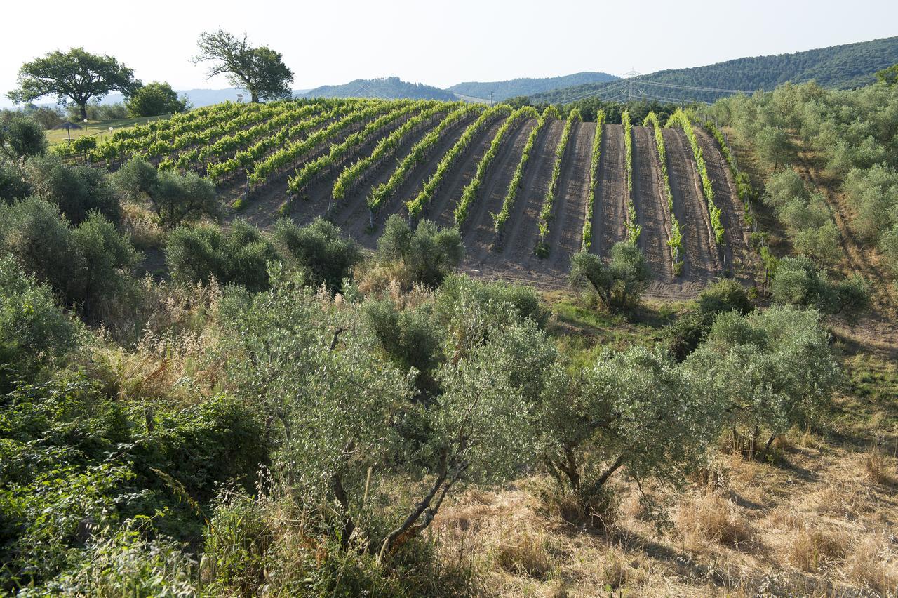 Agriturismo Poggio Corbello La Pesta Eksteriør bilde