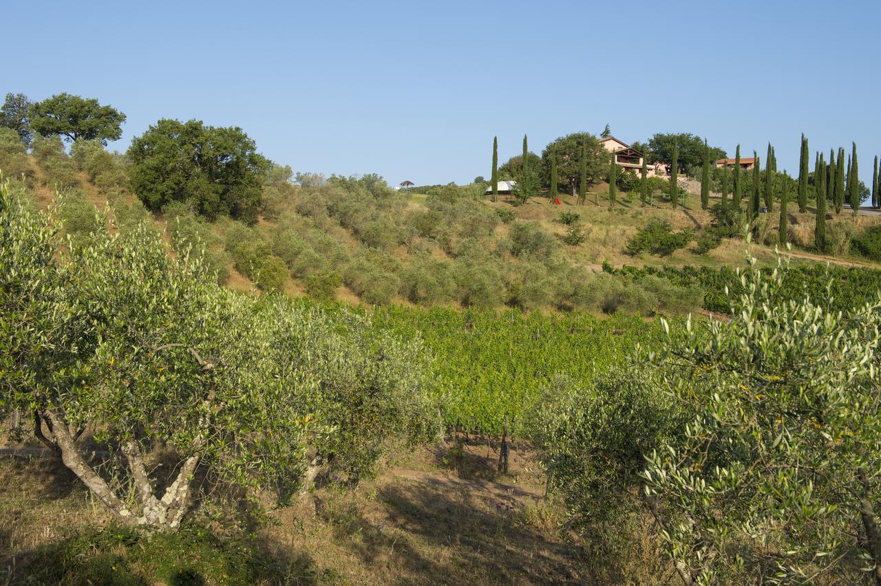 Agriturismo Poggio Corbello La Pesta Eksteriør bilde