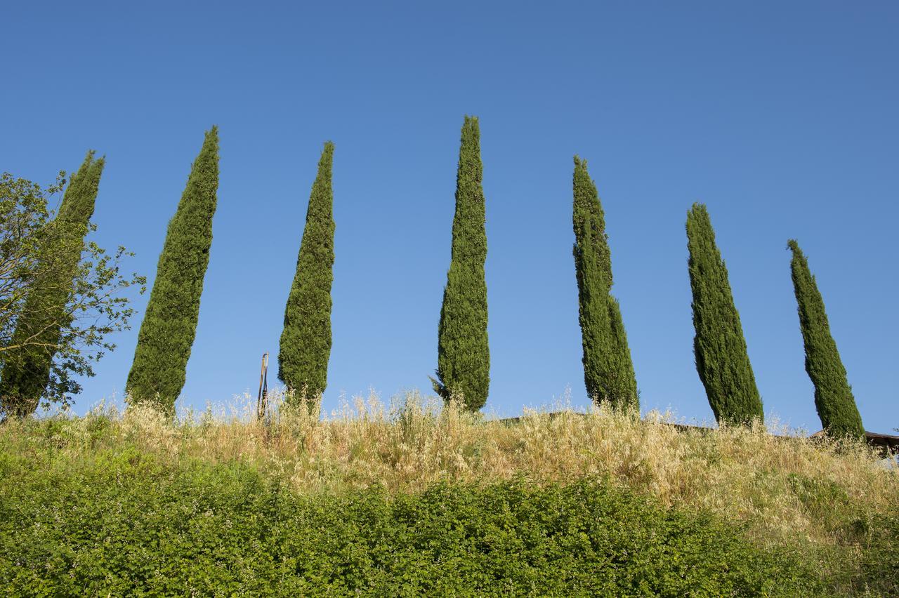 Agriturismo Poggio Corbello La Pesta Eksteriør bilde